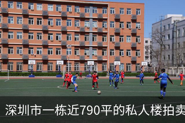 深圳市一栋近790平的私人楼拍卖，被人755万元拿下了